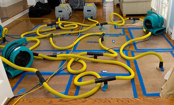 Professional Crawl Space Water Removal technician working in Trinity, TX